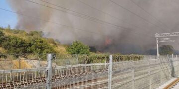 TÜBİTAK'ın ormanlık alanında yangın!