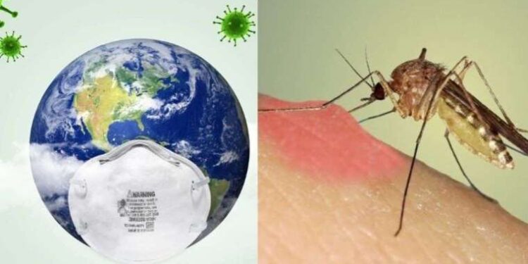 Bodrum’da orman yangını: Ekipler müdahale ediyor