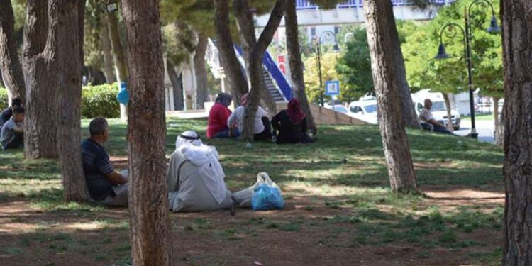 Güneydoğu’da sıcak bunalttı: Mardin’de termometreler 47’yi gösterdi