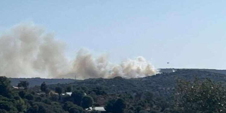 Hangi internet tarayıcısı daha iyi? Hangi tarayıcı daha hızlı? Hangi tarayıcı daha az RAM yer? Hangi tarayıcı daha güvenli?