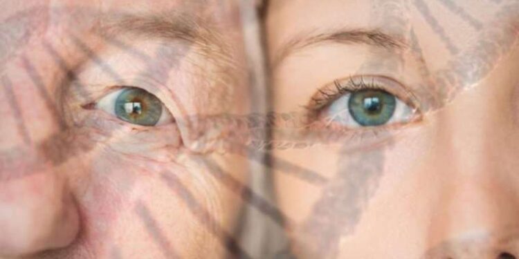 Soyağacı testleri ve genetik astroloji ile kökenlerinizi keşfedin ve aile bağlarınızı güçlendirin!