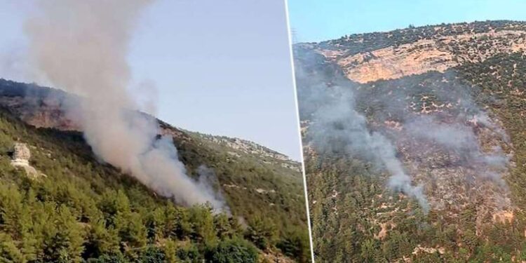 Mersin'de orman yangını: Ekiplerin müdahalesi devam ediyor