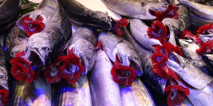 Şimdi tam mevsimi! Omega zengini ve kalsiyum deposu, kolesterol ve hipertansiyonun düşmanı