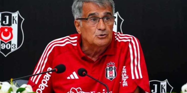 Şenol Güneş: 'Sahada olay istemiyoruz'