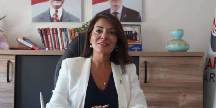 Zafer Partili Aslan'dan ÇEDES eleştirisi