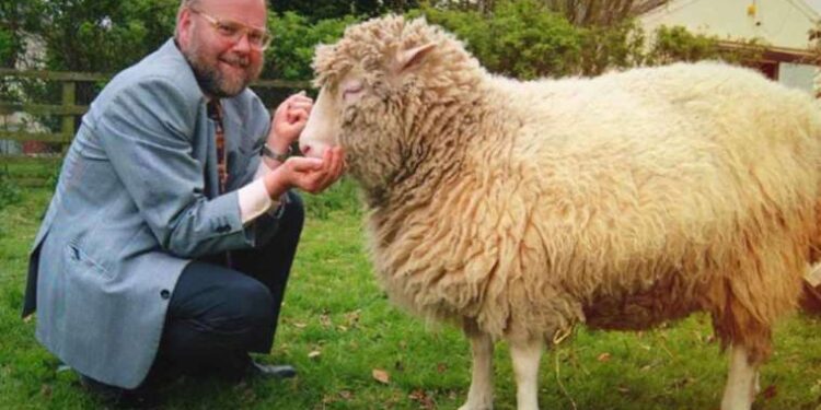 İsveç’in geyikleri