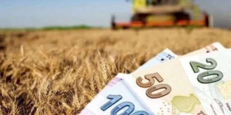 Resmi Gazete'de yayımlandı: Çiftçiye destek şoku!