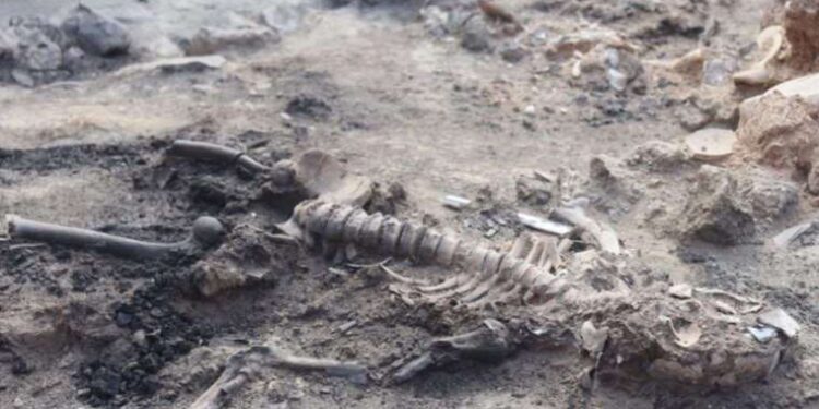 Google’ın 25 yılda kaç projesi başarısız oldu?