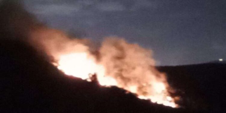 Çanakkale’de orman yangını