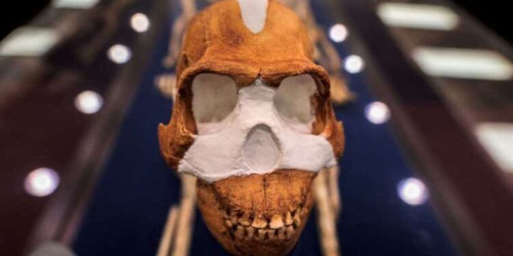 Tıp altın çağa mı girdi?