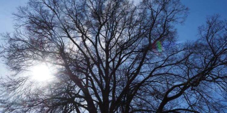 Emekli büyükelçi Ceylan, Tel Aviv-Riyad normalleşmesini değerlendirdi: Türkiye’nin çıkarına olabilir