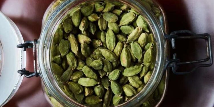 Doğanın şifalı hazinesi: Mide sorunlarından kansere doğal kalkan