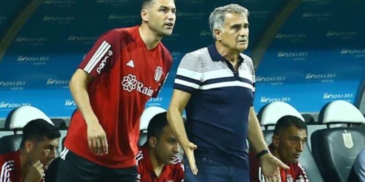 Şenol Güneş: 'Kıyaslamak benim işim değil'