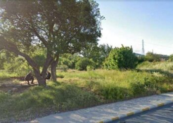 AKP'li Pendik Belediyesi arsaları satıyor