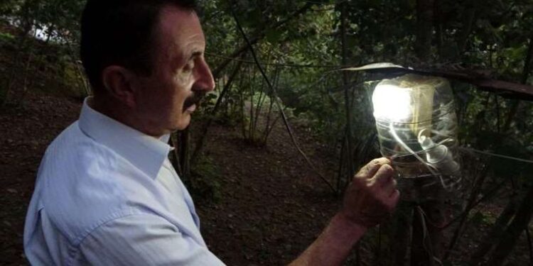 Fındık bahçesine dadanan domuzlara Karadeniz usulü çözüm