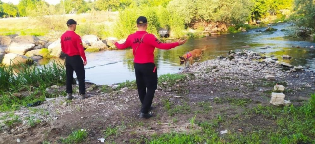 unlu-ekonomist-korhan-berzeg-76-gundur-kayip-2-16279184_4799_m Ünlü ekonomist Korhan Berzeg 76 gündür kayıp! 2 gün önce eve dönen köpeği Tina'nın tasması inceleniyor