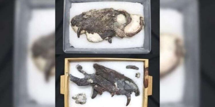 Jüpiter’in uydusunda yaşamın ayak izleri bulundu