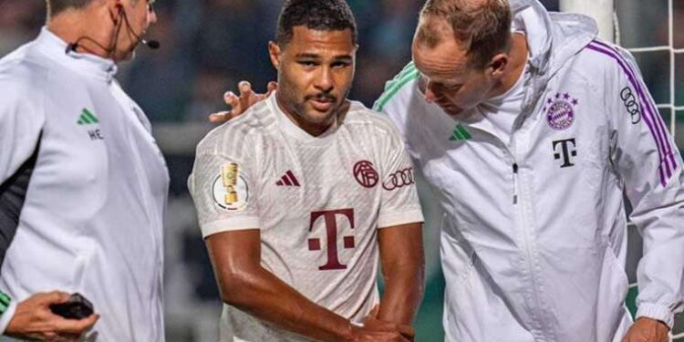 Kedisi 11 yıl önce evden kaçmıştı: Mikroçip sayesinde kavuştular