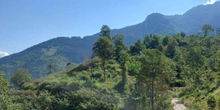 Betona para yetmedi: Muhalefetin 5’li çete olarak adlandırdığı Kolin’in Hasdal Şehir Hastanesi inşaatı durdu