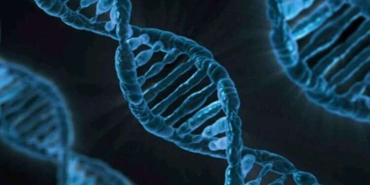 Maltepe’de petshop’ta yangın: Çok sayıda hayvan yaşamını yitirdi