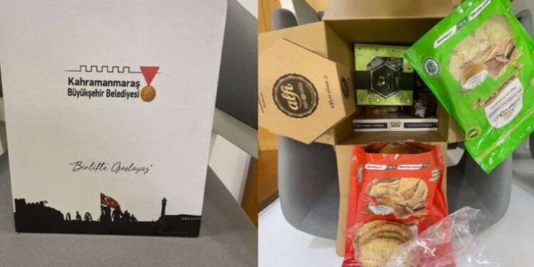 Ülkemizde 10 milyon civarındaki sokak hayvanı açlık ve şiddetle mücadele ediyor: Tüm türler tehlikede