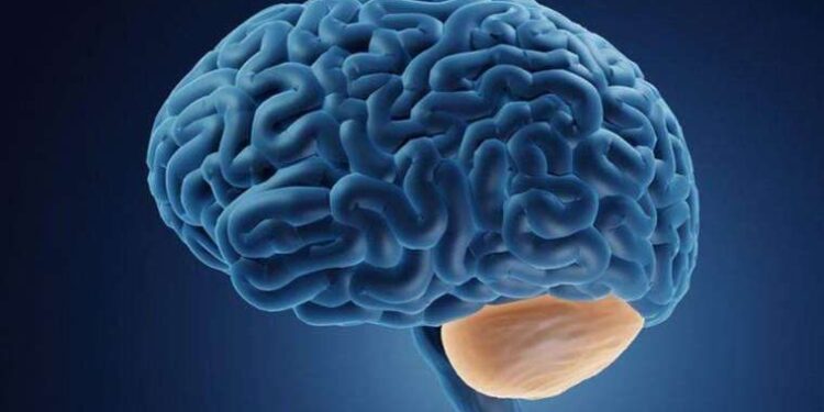 Ağzında bir kadının kalıntıları bulunan timsah öldürüldü