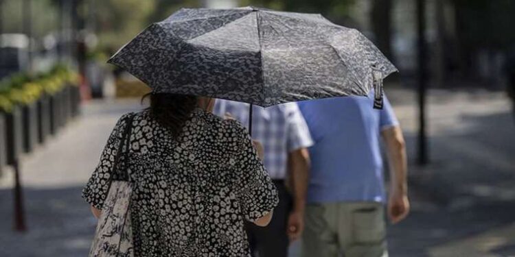 Polonya-Ukrayna tahıl krizi dünyayı nasıl etkileyecek?