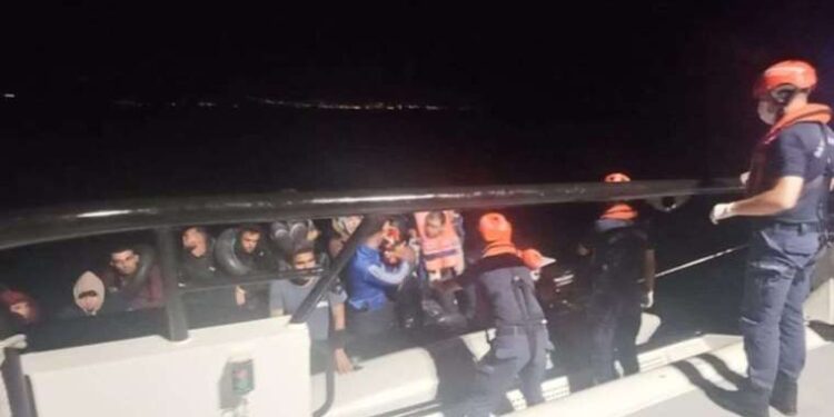 26. Altın Güvercin’in sahibi Nazan Palu oldu