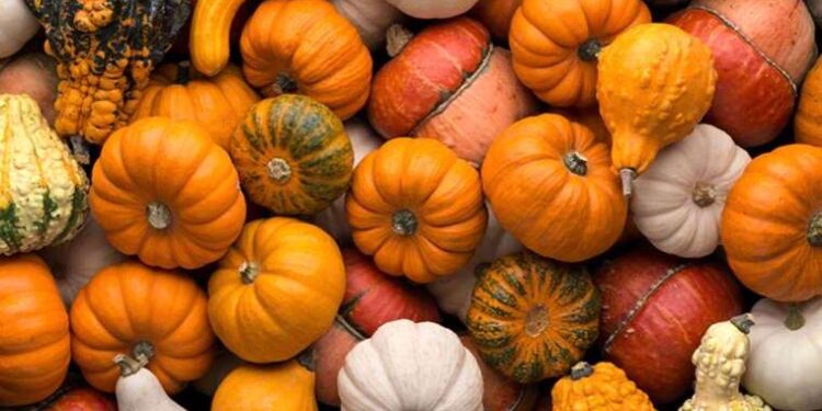 Kayınbiraderini öldürdü: İfadesi ortaya çıktı!