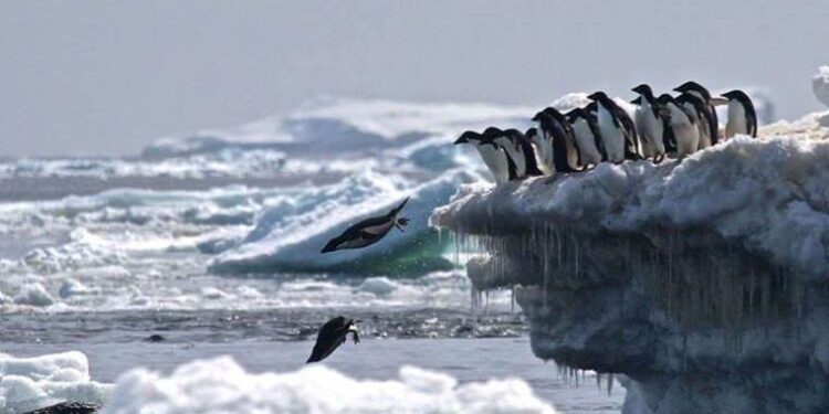 TV yayın akışı 8 Ekim Pazar! Hangi kanalda ne var, günün filmleri ve dizileri neler?