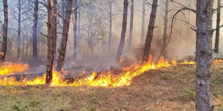 Vahşet göz göre göre geldi… Cansız bedeni bebeğinin yanında bulundu!