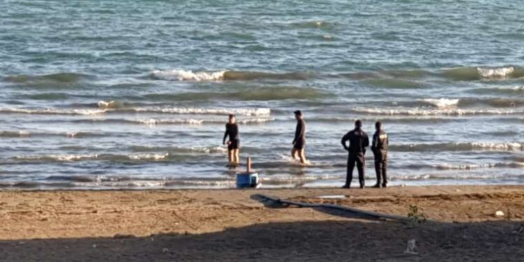 Kavacık Üzüm Festivali 11. kez kapılarını açıyor