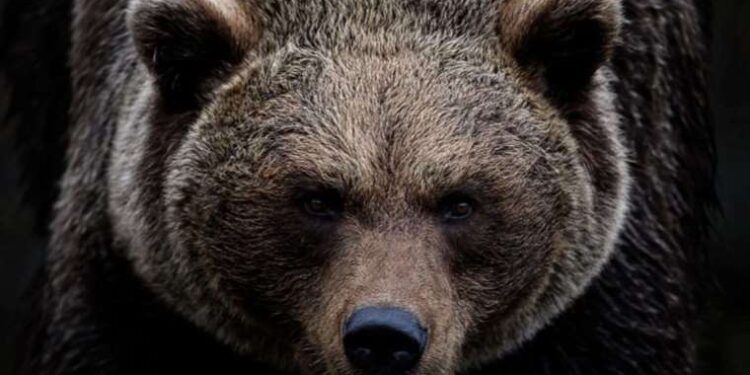 Çanakkale Boğazı’nın su altı ses seviyesi ilk kez ölçüldü