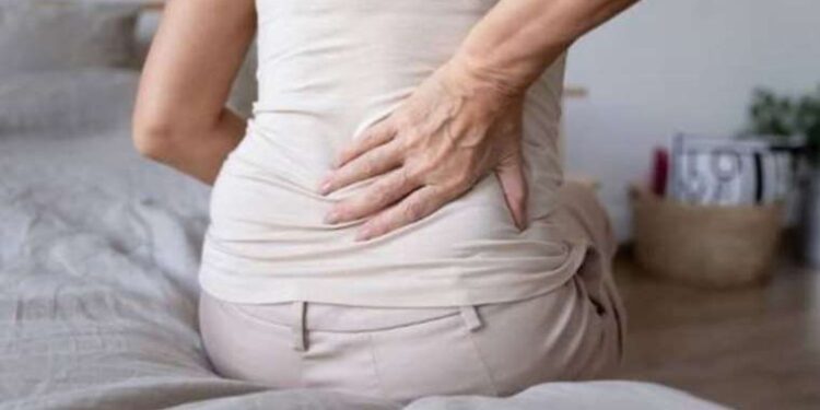 Çevrimiçi eğitim platformlarının ve katılımcılarının sayısı giderek artıyor