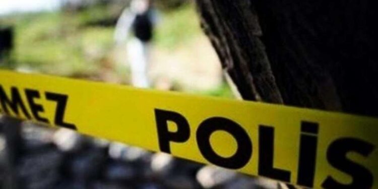 Ağrı’da kamyon ile otomobil çarpıştı; 2 ölü, 2 yaralı