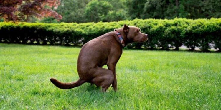 En çok para kazanan sosyal medya fenomenleri açıklandı