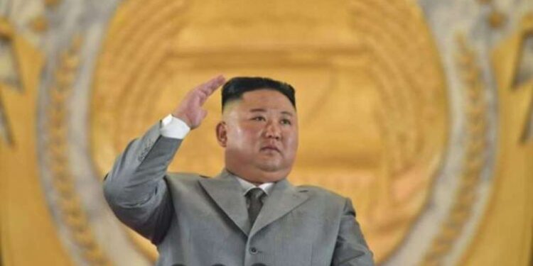 Köpek dışkısı sorununa DNA veri tabanlı çözüm