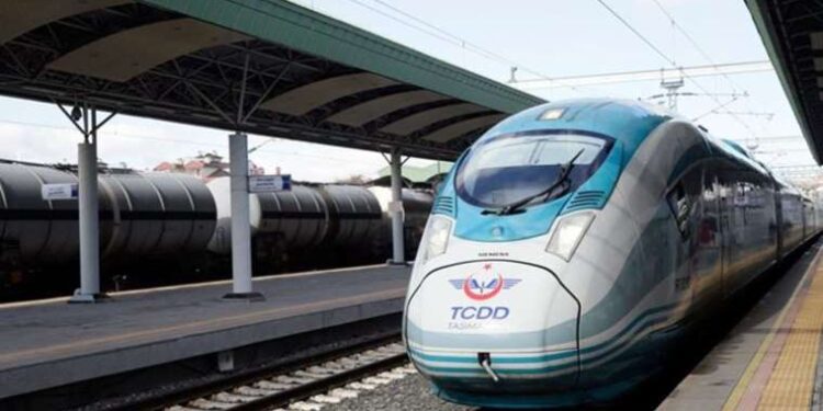 Nesli tehlike altındaki balık, son görüldüğü yerden 20 yıl sonra tekrar ortaya çıktı