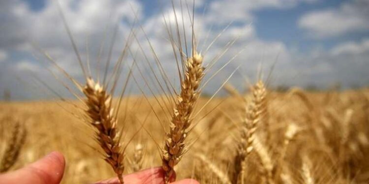 ABD’de bir ilk: ‘Uzay enkazı kuralı’ cezası