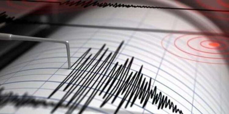 Durdurulan otomobilden bonzai ‘hammaddesi’ çıktı