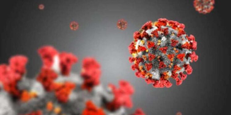 Windows 11 resmen photoshop özelliği kazanıyor!