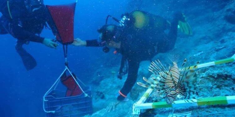 Instagram hikayelerinde yeni dönem; çoklu listeler