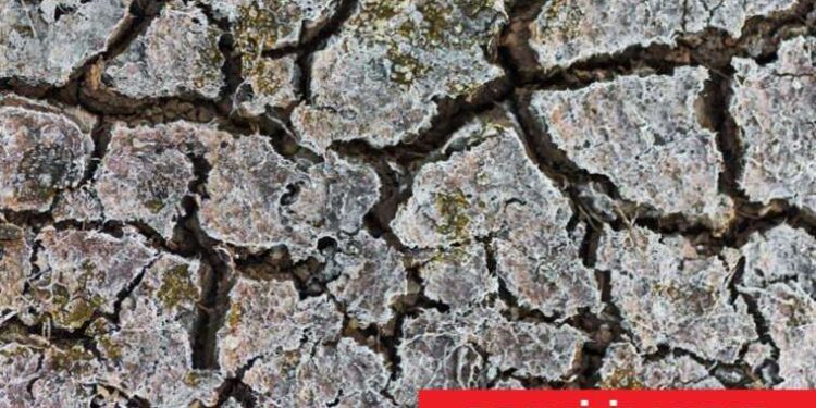 Kürşad Zorlu’dan ‘Halil Konakcı’ paylaşımı: Yaklaşım devam ederse çıkarma cezası verilecek