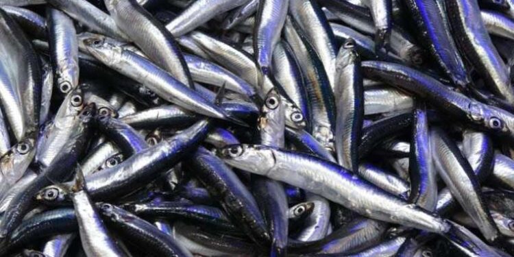 İstanbul’da erkek şiddeti: Sokak ortasında kadını darbettiler