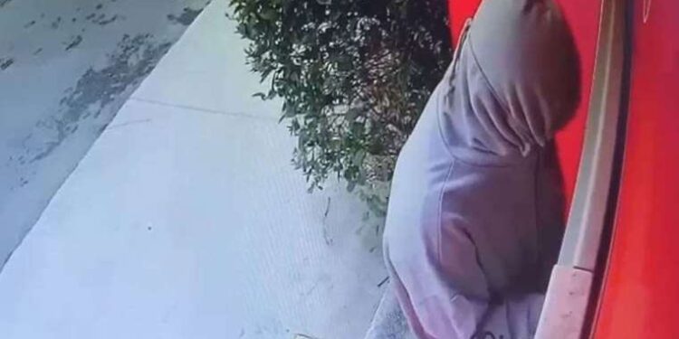 Kararı beğenmeyen göçmen karşıtlarından protesto
