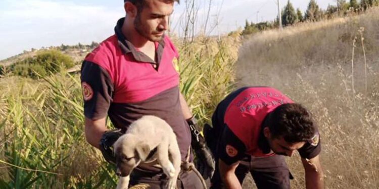 ‘Zübeyde, Analar ve Oğullar’ filminin İzmir galası yapıldı