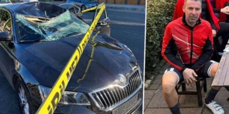 Parktaki köpeğe sopa ve yumrukla saldıran zanlı hakkında karar!