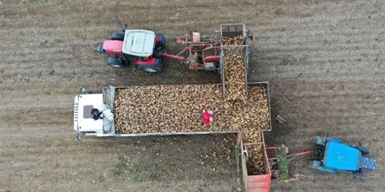 Son dakika… İstiklal Caddesi’ndeki terör saldırısı davasında 3 tahliye