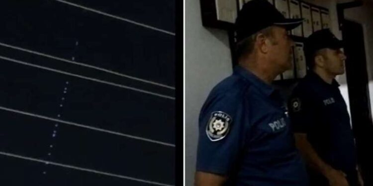 Fındık fabrikasını istila ettiler: Günde 30 kilometre yol kat ediyor…