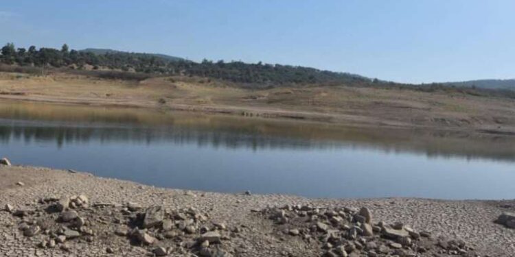 Otomobilde en çok tercih edilen renk değişti